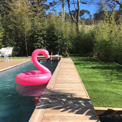 Piscine avec une bouée flamant rose et contours en pelouse artificielle