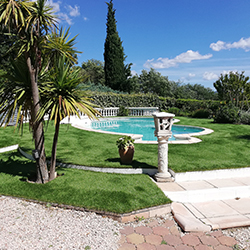 Piscine arrondie et contours en gazon synthétique