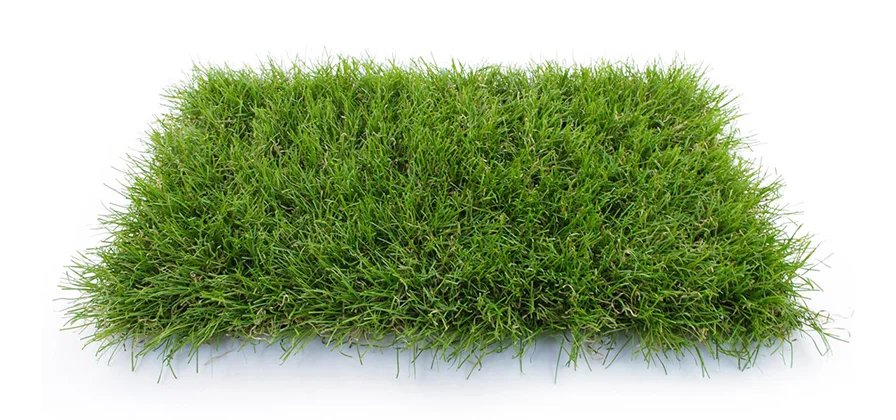 Gazon synthétique Luxe 50 - Photo d'échantillon vu de dessus Gazon artificiel modèle Luxe 50 - Photo d'échantillon vu de dessus