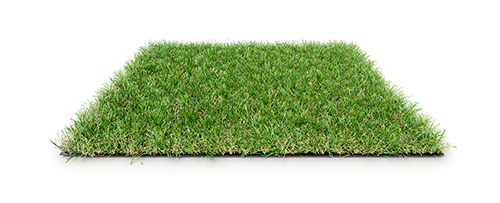 Azurio : gazon synthétique - pelouse artificielle haut de gamme