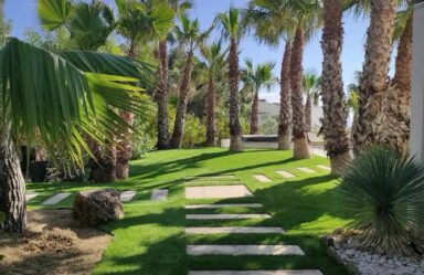 Jardin avec palmiers et gazon synthétique à Marseille dans les Bouches-du-Rhône (13)