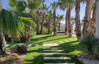 Jardin avec palmiers et gazon synthétique à Marseille dans les Bouches-du-Rhône (13)
