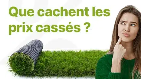 Illustration de l'article : Gazon synthétique pas cher : 8 conseils pour éviter les mauvaises surprises