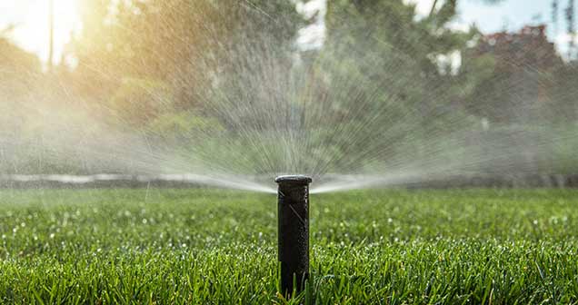 Arrosage automatique sur une pelouse naturelle