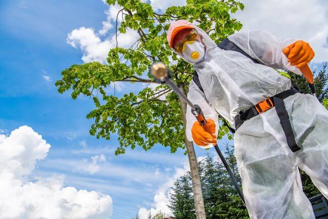 homme pulvérisant du désherbant avec une tenue de protection complète