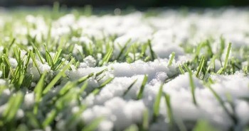 Illustration : Comment le gazon synthétique résiste-t-il à la neige et au froid en hiver ?