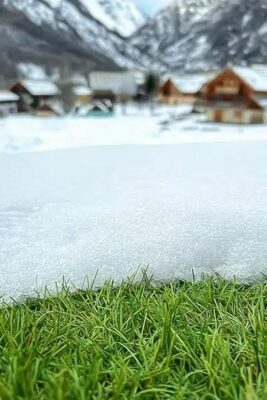Pelouse synthétique Azurio sous la neige